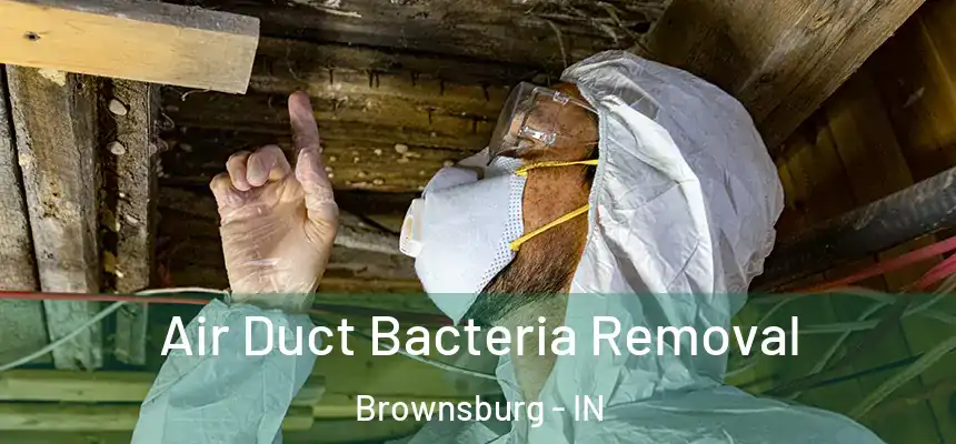Air Duct Bacteria Removal Brownsburg - IN