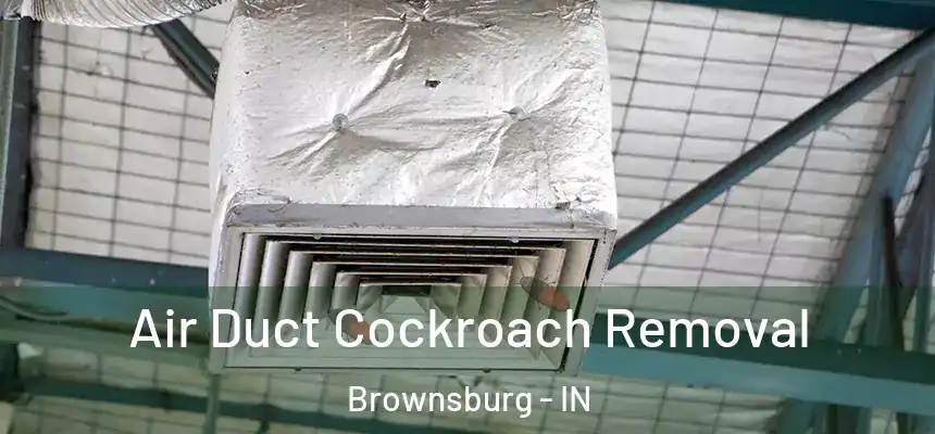 Air Duct Cockroach Removal Brownsburg - IN