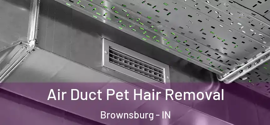  Air Duct Pet Hair Removal Brownsburg - IN
