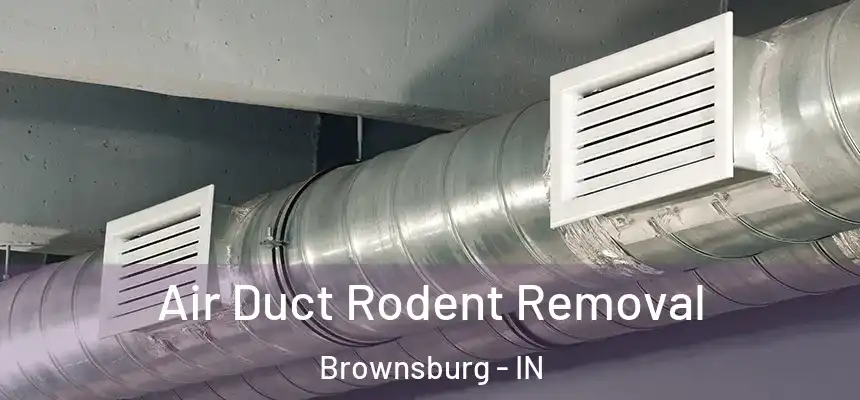  Air Duct Rodent Removal Brownsburg - IN