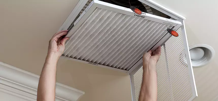 Preventive Cockroach-Proofing for Ducts in Brownsburg
