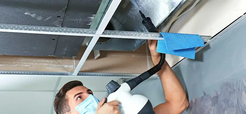 Our Air Duct Rodent Removal Services in Brownsburg, IN