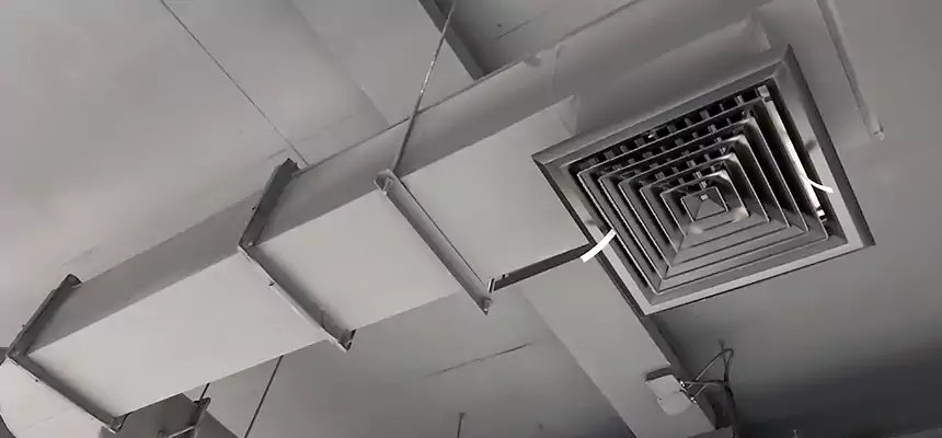 Our Pest Removal From Ducts Services in Brownsburg, IN