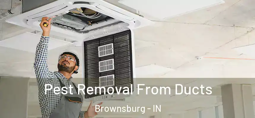 Pest Removal From Ducts Brownsburg - IN