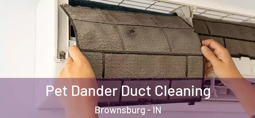  Pet Dander Duct Cleaning Brownsburg - IN