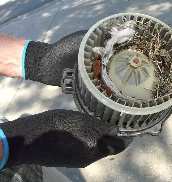 About Air Duct Mice Removal in Brownsburg, IN